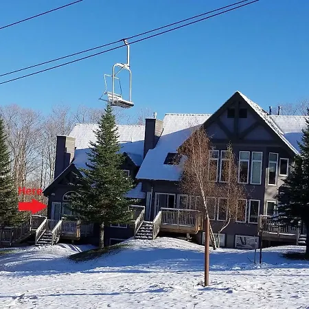 Lux 5Br 4Ba Sv125 Ski In Out, 18-Hole Championship Golf Course, Water Park, Pet Friendly